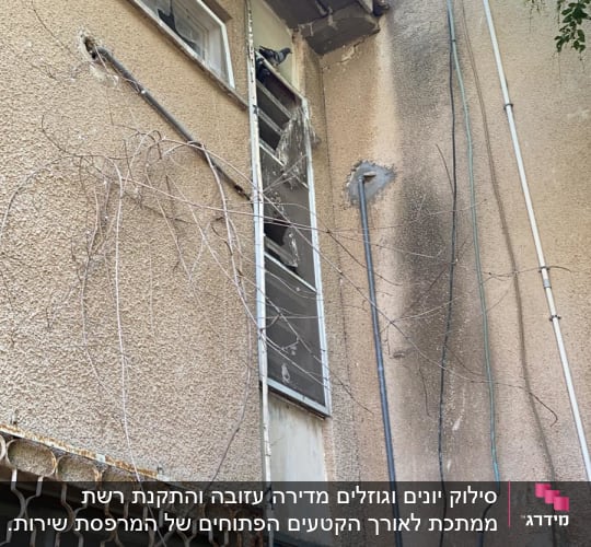 לפני